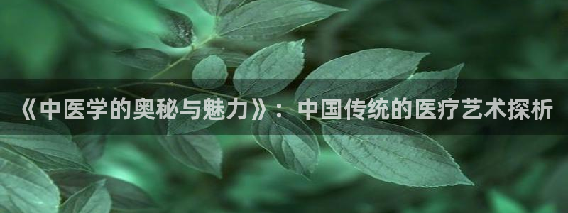知轩藏书精校版入口：《中医学的奥秘与魅力》：中国传统的医疗艺术探析