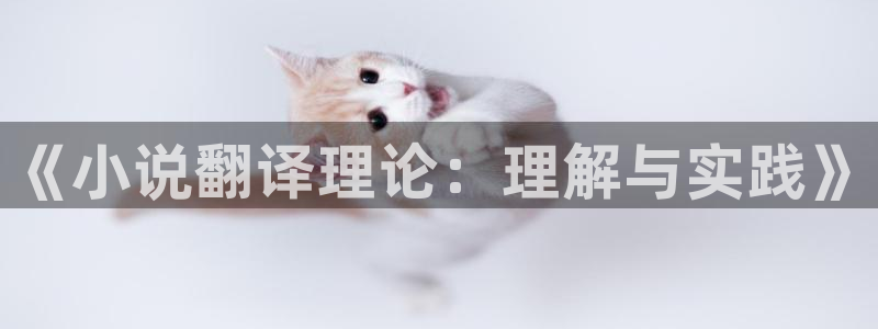 知轩藏书精校版txt：《小说翻译理论：理解与实践》