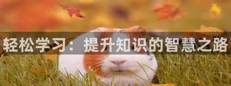 知轩藏书备份站：轻松学习：提升知识的智慧之路